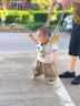 洽苒德國品牌學(xué)步帶嬰幼兒學(xué)走路牽引繩防摔寶寶防勒神器小孩兒童學(xué)站 【玩偶 一步一響】晨曦綠 熊貓可拆卸 曬單實(shí)拍圖