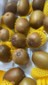 佳沛（zespri）新西蘭陽(yáng)光金奇異果原箱 16粒巨無(wú)霸 單果重約202-230g   獼猴桃 曬單實(shí)拍圖