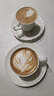 泰摩白色陶瓷咖啡杯碟 典雅骨瓷咖啡杯套裝 咖啡杯2杯2碟2勺 曬單實(shí)拍圖