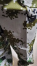 皚虎純棉軍訓(xùn)服套裝男女迷彩服夏季薄款學(xué)生軍訓(xùn)服裝迷彩服工作服 曬單實(shí)拍圖