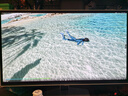 三星（SAMSUNG）27英寸 G81SF QD-OLED 4K 240Hz 0.03ms 防燒屏防眩光超薄設(shè)計(jì)玄龍騎士 電競顯示器LS27FG812SCXXF 曬單實(shí)拍圖