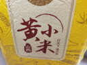 萬谷食美 黃小米5斤 黃金苗小米山西黃小米月子米 曬單實拍圖