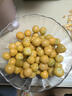 桃西村東北姑娘果【順豐可選】菇?jīng)龉S金莓燈籠果黃菇娘小金豆新鮮水果 3斤 精選果【單果7-9g】順豐 曬單實(shí)拍圖