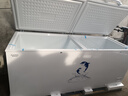 澳柯瑪（AUCMA）商用大容量臥式冰柜 冷藏冷凍轉(zhuǎn)換雙門頂開冰柜 保鮮柜單溫大冷柜一級(jí)節(jié)能省電 BC/BD-737TC 737L 曬單實(shí)拍圖