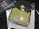西部數(shù)據(jù)（WD）8TB 企業(yè)級(jí)機(jī)械硬盤DC HA340 SATA 7200轉(zhuǎn)256MB CMR垂直 服務(wù)器硬盤 3.5英寸WUS721208BLE6L4 曬單實(shí)拍圖