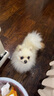 名創(chuàng)優(yōu)品（MINISO）洗臉巾一次性纖維柔巾干濕兩用珍珠紋洗面巾潔面巾100抽*3包 曬單實拍圖