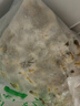 美加佳無沙蜆子肉凈重1斤 冷凍花甲肉 熟凍蛤蜊肉 花蛤肉 海鮮水產(chǎn) 曬單實拍圖