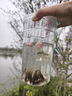 若萸兒童戶(hù)外捕魚(yú)瓶倒須抓魚(yú)瓶魚(yú)籠蝦籠親子捕捉魚(yú)抓魚(yú)捕魚(yú)神器工具 【5件套】透明捕魚(yú)瓶套裝 含捕魚(yú)瓶+2包魚(yú)食+12米線(xiàn)+地插 曬單實(shí)拍圖