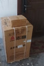 志高（CHIGO）全自動(dòng)洗衣機(jī) 家用小型波輪 洗脫一體機(jī)大容量 公寓宿舍出租房 10KG咖啡金【藍(lán)光洗護(hù)+風(fēng)干潔桶+強(qiáng)電機(jī)】 曬單實(shí)拍圖