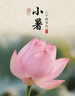 東菱（Donlim）電蒸鍋燉蒸煮一體多功能鍋雙層大容量不銹鋼陶瓷汽鍋雞高溫速蒸預(yù)約保溫DL-1005 曬單實(shí)拍圖