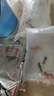蝶尾龍睛20條 金魚3-6cm 混色隨機（現(xiàn)貨包活  按下單順序發(fā)貨） 曬單實拍圖