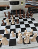 元蘿卜SenseRobotAI下棋機器人國際象棋 對弈 習(xí)題 陪練 漲棋 AI講題 人機互動 家用學(xué)習(xí)【國際象棋】 曬單實拍圖