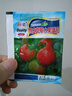 本土大番茄種子高產(chǎn)超甜超大紅果大西紅柿種子高溫蔬菜瓜果種籽 草莓鐵皮番茄約400粒1包 曬單實(shí)拍圖