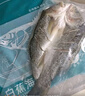 釣魚記開背海鱸魚1斤-1.3斤 三去凈重 冷凍 生鮮 魚類 海鮮水產(chǎn) 曬單實(shí)拍圖