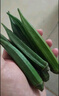新鮮水果秋葵黃秋葵現(xiàn)摘現(xiàn)發(fā)生鮮蔬菜涼拌燒烤火鍋食材減肥瘦身 現(xiàn)摘新鮮秋葵（秋葵控） 4斤 曬單實拍圖