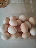 谷物鮮雞蛋 農(nóng)戶散養(yǎng)新鮮雞蛋 單枚50g±5 30枚（50克/枚） 曬單實拍圖