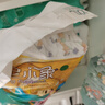 弗尼小象紙尿褲旗艦醫(yī)護(hù)級(jí)嬰幼兒尿不濕男女童寶寶干爽薄柔軟透氣 紙尿褲XL44片 曬單實(shí)拍圖
