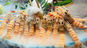 樂(lè)創(chuàng)（lecon）電扒爐商用煎牛扒鐵板燒商用設(shè)備鐵板燒魷魚(yú)雞蛋灌餅手抓餅烤冷面機(jī)器 【大扒板55*30】818B單控鍍鎳|贈(zèng)送豪禮 曬單實(shí)拍圖