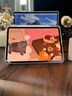 圖拉斯【全新升級丨銷額第一】2025iPadPro新款Mini7鋼化膜 Air7第11代/10/6平板保護(hù)AR高清抗藍(lán)光抗指紋 【iPad Air7/6】11英寸 【頂配升級版】 曬單實(shí)拍圖