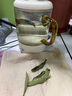 特級(jí)品質(zhì)甜葉菊茶甜菊葉鐵盒裝代糖養(yǎng)生花草茶沖泡水喝女士茶葉 甜葉菊25g（罐裝） 甜葉菊 曬單實(shí)拍圖