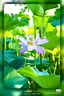 Smorss【2片裝】適用榮耀50Pro鋼化膜 華為V40/nova8Pro/nova9Pro手機膜全屏覆蓋曲面膜高清防刮淡指紋 曬單實拍圖