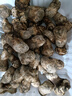 土地母親計(jì)劃 雅江松茸菌未開傘新鮮松茸鮮菌菇冷鏈空運(yùn)現(xiàn)貨快至24H達(dá)團(tuán)購送禮 出口級未開傘 5-5.8cm 凈重500g 曬單實(shí)拍圖