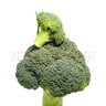 刺黃瓜約1kg 曬單實拍圖