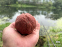 滿護將戰(zhàn)神冷凍魚餌野釣羅非冰凍料羅飛散炮大福壽套餐魚具用品羅菲小藥 戰(zhàn)神3包一套(赤尾青+肝味+腥味） 曬單實拍圖