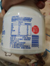 蘭格格  草原酸奶 烏日莫奶皮子酸奶560g*1桶 生鮮低溫酸牛奶 酸奶大桶 曬單實(shí)拍圖