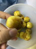 【農(nóng)戶直通車】小糖丸大荔冬棗1kg 曬單實(shí)拍圖