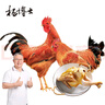 楊博士 皖南散養(yǎng)土雞4只 凈重4斤 未打鳴小公雞現(xiàn)宰童子雞三黃雞雞胗 曬單實(shí)拍圖