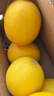 綠農(nóng)俠現(xiàn)摘黃河蜜瓜 民勤蜜瓜 新鮮水果當(dāng)季整箱甜瓜包郵金紅脆 【精品裝】2-3斤甄選老農(nóng)力薦 曬單實拍圖