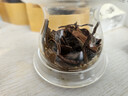 倮彝2025年大雪山野生古樹紅茶云南大葉種茶普洱紅茶滇紅自己喝送人 250g*2罐【送8g試喝不滿意包退】 【送運(yùn)費(fèi)險(xiǎn)】 曬單實(shí)拍圖