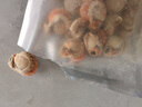 鯨甘郎特大號扇貝肉新鮮扇貝帶黃帶膏鮮活冷凍海鮮水產(chǎn)紅貝燒烤食材商用 特大3斤 帶黃帶膏（約40只/斤） 曬單實(shí)拍圖