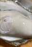 老蟹將 鮮活乳山生蠔 生態(tài)水域現(xiàn)撈牡蠣特大刺身級品質(zhì)燒烤食材中秋送禮 5XL 10斤(包活到家) 曬單實拍圖