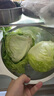 綠食者  球生菜5斤 西生菜圓生菜 漢堡用西餐沙拉色拉食材 健康輕食蔬菜 5斤 曬單實拍圖