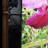 菲昂 索尼zv-e10相機(jī)接監(jiān)視器 micro hdmi線4K a7m3直播采集卡視頻高清線 Micro HDMI轉(zhuǎn)HDMI線 4K 5米 曬單實(shí)拍圖