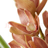 Harbor House美式家居仿真花仿真惠蘭花束客廳假花裝飾品Orchid(不含花瓶) Orchid 褚紅色蕙蘭花束-單支 1支 曬單實(shí)拍圖