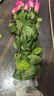 弗洛伊德向日葵香檳玫瑰花混搭畢業(yè)季斗南基地直發(fā)水養(yǎng)插花鮮切花 10支艾莎+10支弗洛伊德+10支康乃馨 曬單實(shí)拍圖