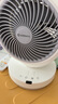 艾美特（AIRMATE）空氣循環(huán)扇電風扇家用桌面臺式落地節(jié)能四季小風扇大風量宿舍遙控搖頭小型電扇輕音空調伴侶 R27 曬單實拍圖