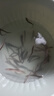 活泥鰍 戶(hù)外垂釣釣魚(yú)專(zhuān)用餌料飼料魚(yú)本地金鰍鮮活淡水烏龜龍魚(yú)飼料活體泥鰍批發(fā) 2-4厘米泥鰍50條 曬單實(shí)拍圖