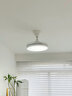 小米家app風(fēng)扇燈隱形吊扇燈變頻吊燈家用餐廳臥室?guī)羯纫惑w靜音 米家智能+全光譜（48寸吊桿款） 曬單實拍圖