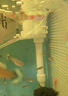 森森 森森魚缸原裝水泵HQJ JP 230G5007009001200G水泵三合一抽過濾泵 HQJ-500G 2.5W 白色 整機 曬單實拍圖