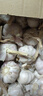 精選新鮮山東大蒜干蒜多瓣蒜頭蔬菜批發(fā)產(chǎn)地直發(fā)大蒜頭 優(yōu)選 5斤 (果徑≥3.5cm) 曬單實拍圖