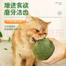 華元寵具（hoopet）貓咪10CM超大貓薄荷球玩具貓草自嗨解悶神器磨牙棒潔齒逗貓木天蓼 曬單實(shí)拍圖