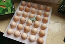 京鮮生 無抗保潔鮮雞蛋30枚/盒 健康輕食 禮盒送禮 1.5kg/盒 源頭直發(fā) 曬單實(shí)拍圖