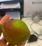 亨迅煙臺太婆梨山東梨子啤梨香蕉梨大頭梨茄梨軟梨新鮮水果生鮮 2斤活動(dòng)裝（凈重1.8斤） 香甜軟糯|核心產(chǎn)區直發(fā)|放軟后吃 曬單實(shí)拍圖