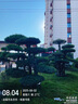 宇龍童話（elongstory）童裝短袖男童套裝帥氣中國風(fēng)男孩夏天國潮運動兒童街舞衣服褲子 白色夏裝套裝（衣服褲子） 130 碼建議身高1.2米左右 曬單實拍圖