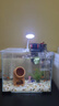 曇蓓漫魚缸過濾器小型魚缸壁掛瀑布過濾器循環(huán)泵三合一增氧泵靜音增氧泵 3W 升級凈水加強(qiáng) 【適合10-30cm魚缸】 模塊化濾盒【帶除油膜】 【強(qiáng)效多重過濾】 曬單實(shí)拍圖