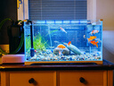 森森 超白玻璃小魚(yú)缸HWK-600P裸缸款水草缸金魚(yú)缸小型水族箱水草缸  曬單實(shí)拍圖